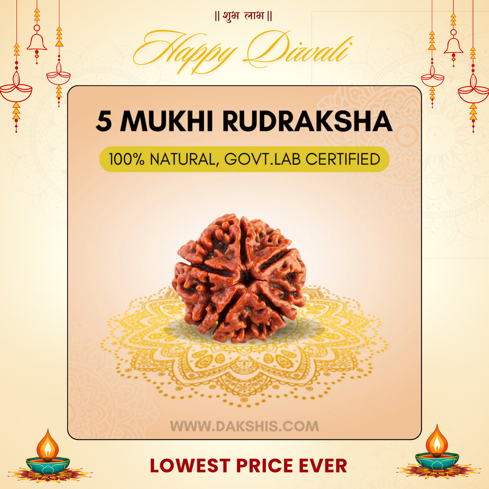 5 Mukhi Nepali Rudraksha - Paanch Mukhi
