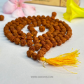Divine 108 Beads Rudraksha Mala