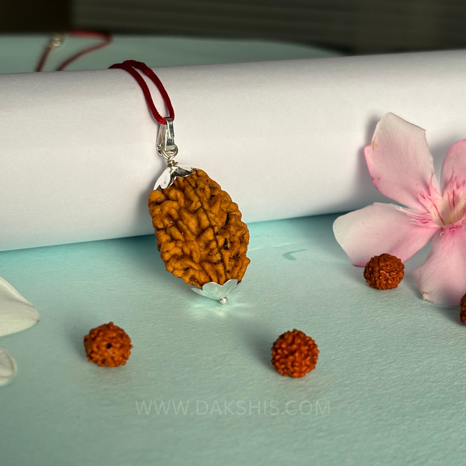 2 Mukhi Rudraksha - Do Mukhi