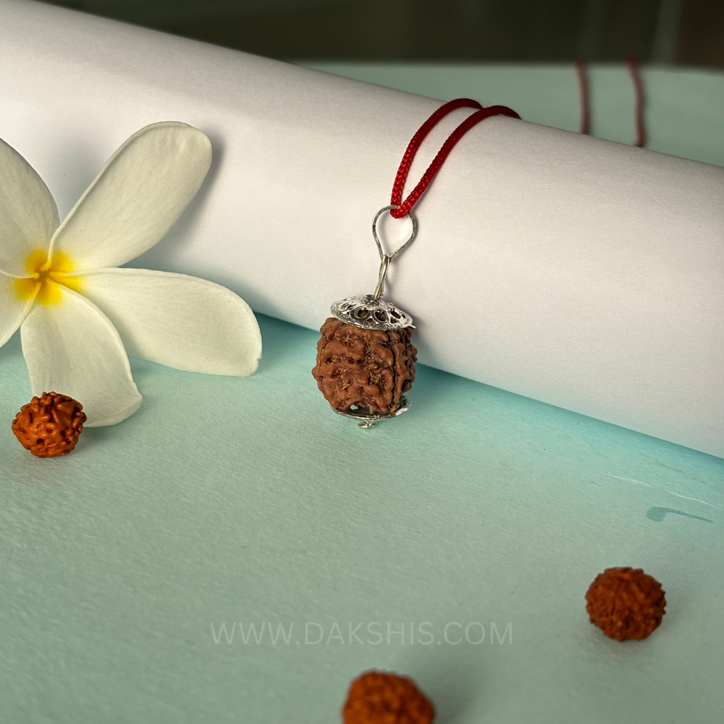 4 Mukhi Nepali Rudraksha - Chaar Mukhi