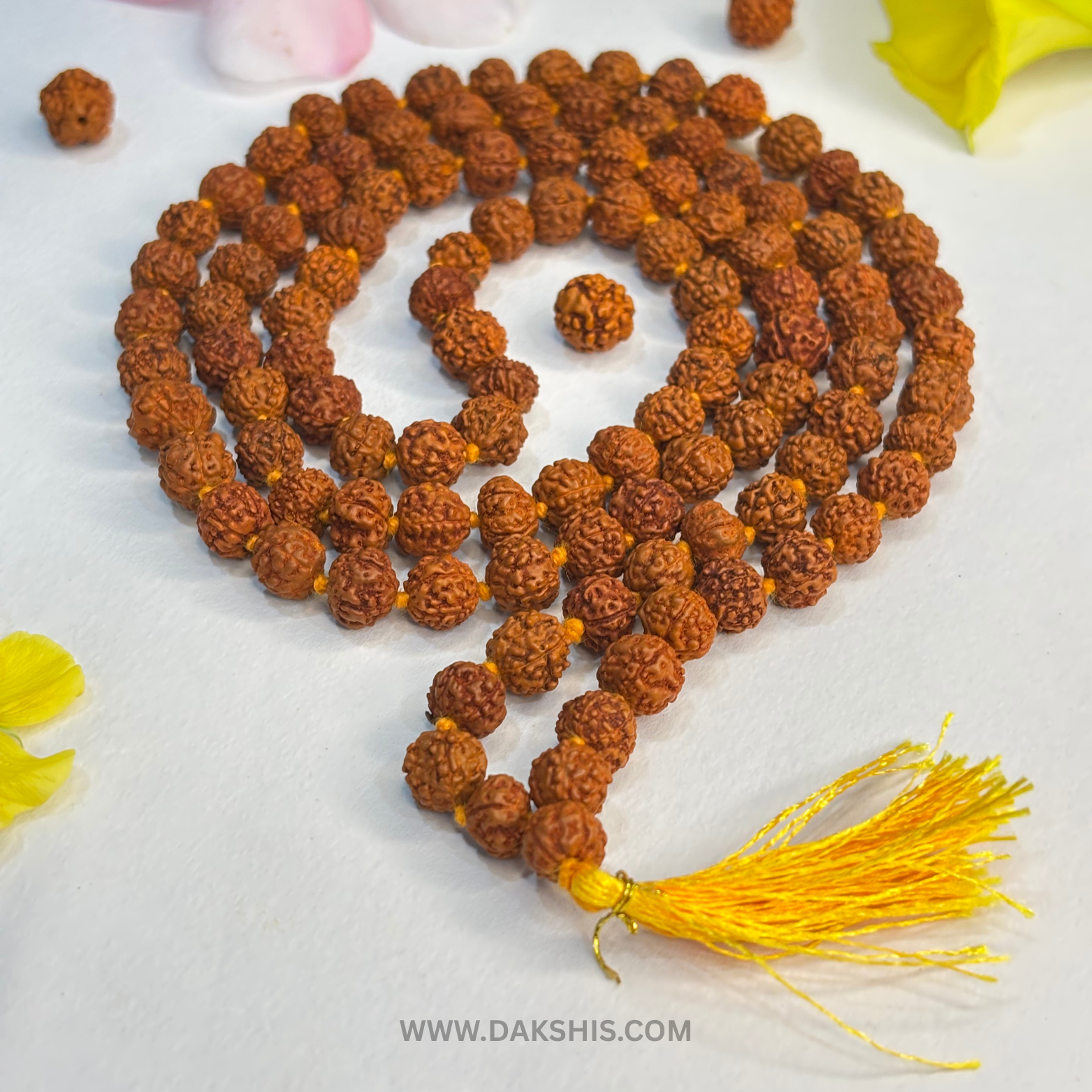 Divine 108 Beads Rudraksha Mala