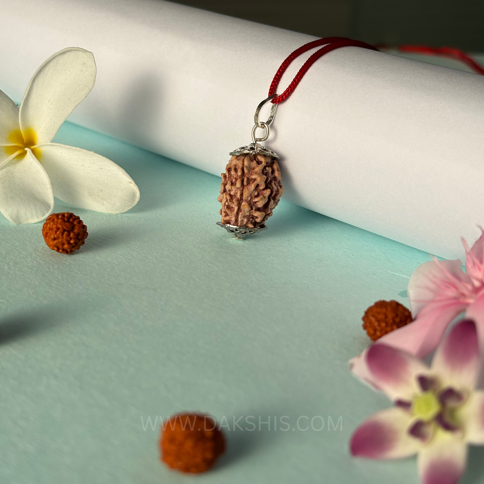 3 Mukhi Rudraksha - Teen Mukhi