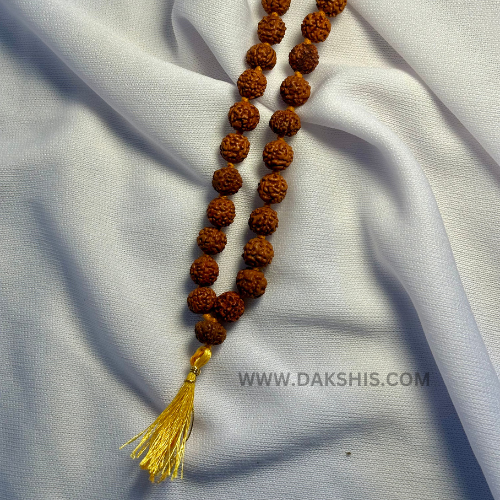 Divine 5 Mukhi Rudraksha Mala  (29 Beads)