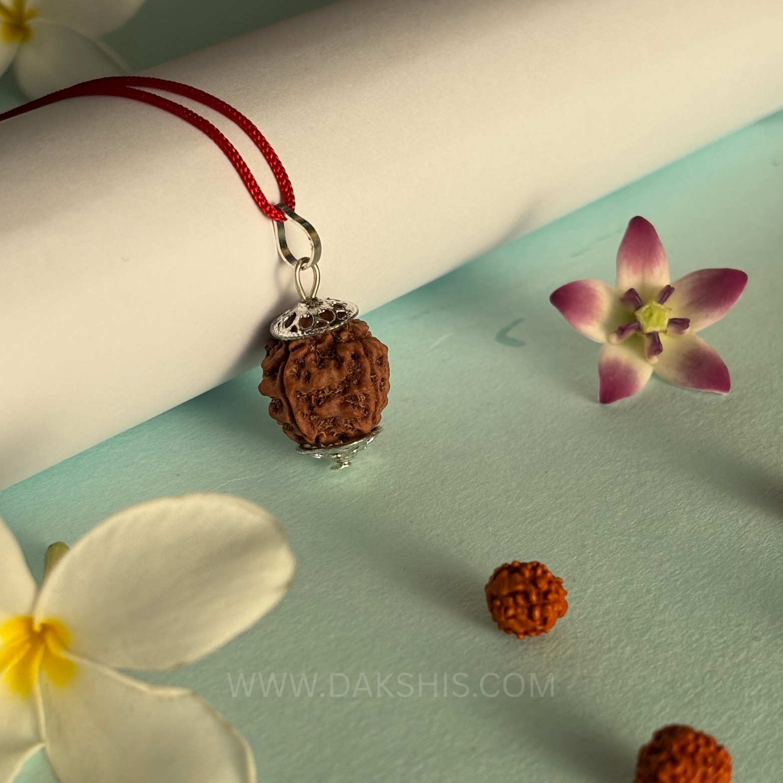 4 Mukhi Nepali Rudraksha - Chaar Mukhi