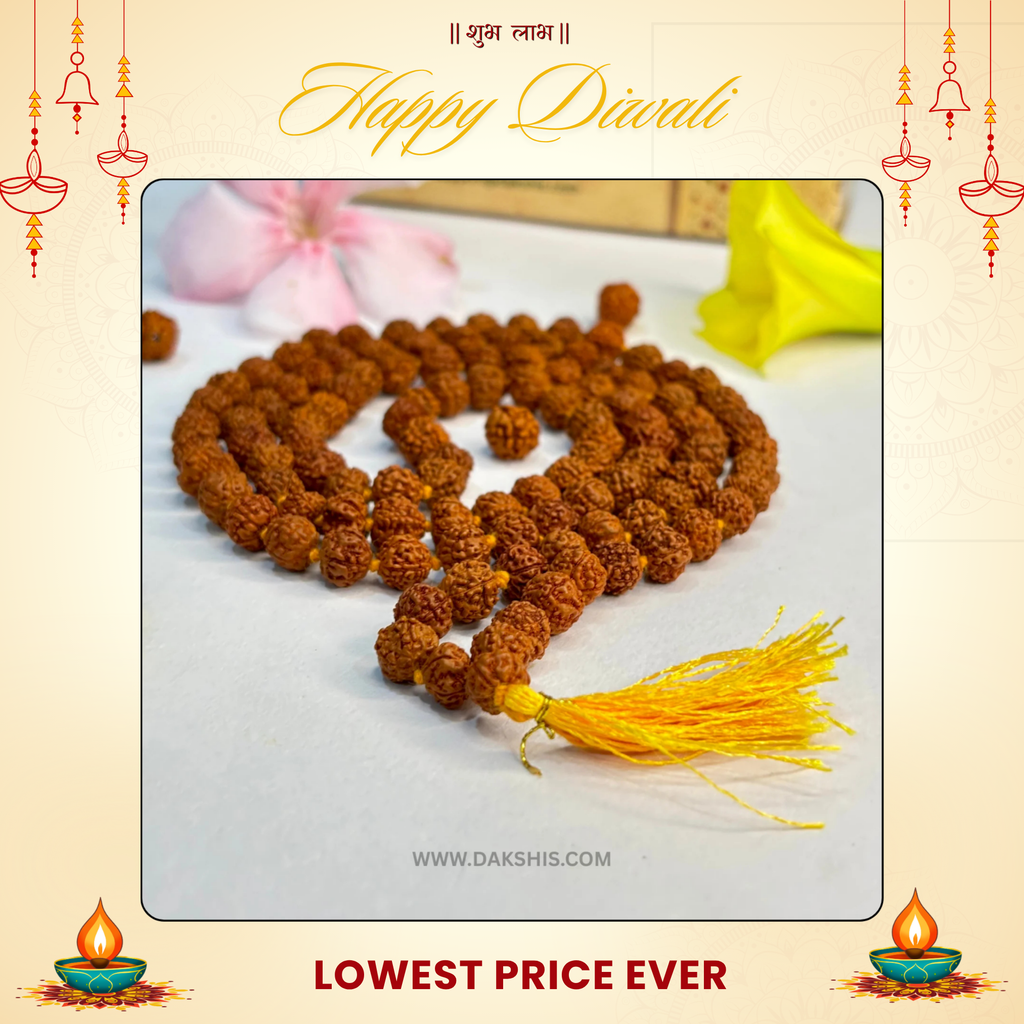 Divine 108 Beads Rudraksha Mala
