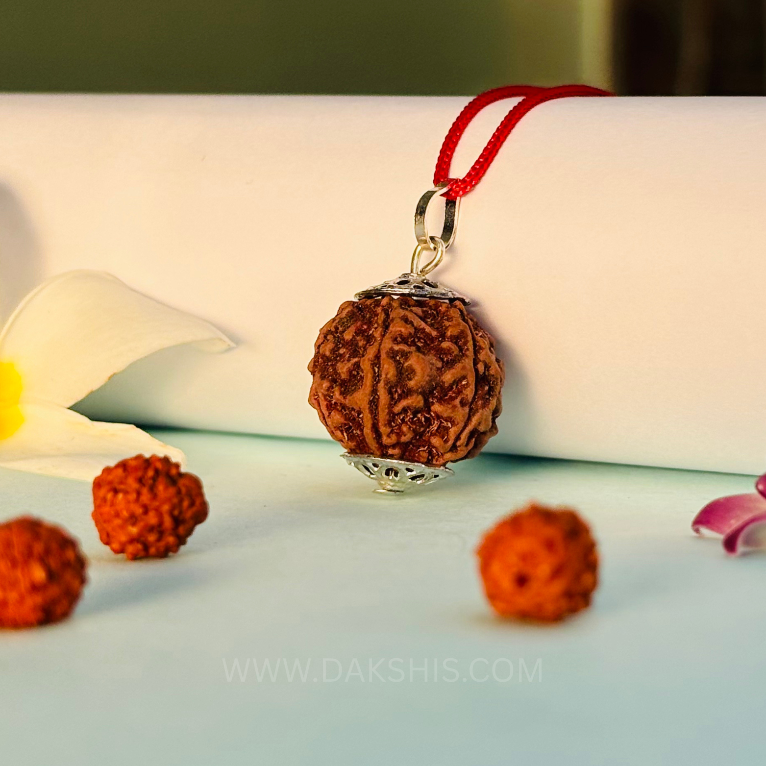 6 Mukhi Nepali Rudraksha - Chhey Mukhi