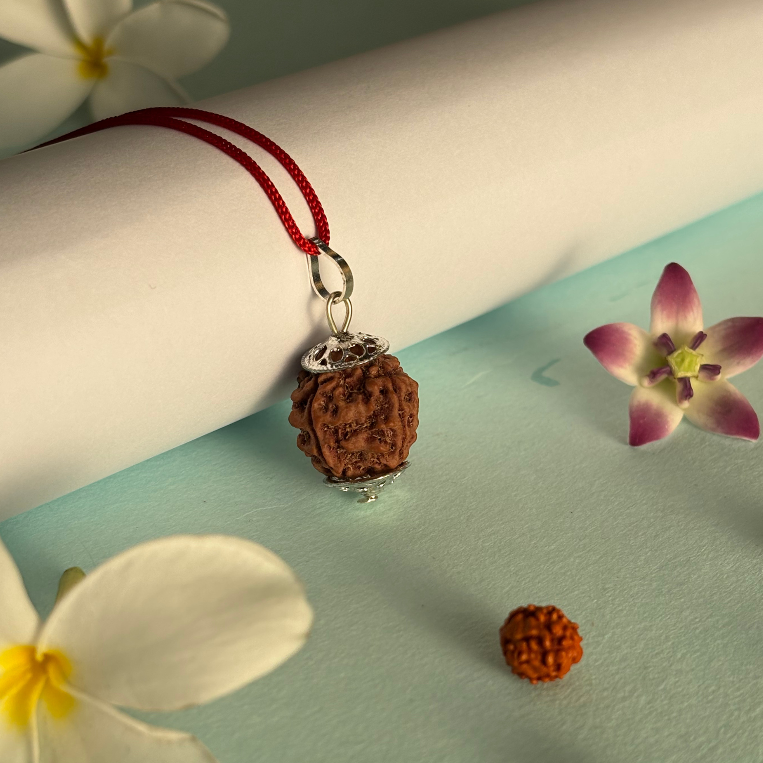 4 Mukhi Nepali Rudraksha - Chaar Mukhi