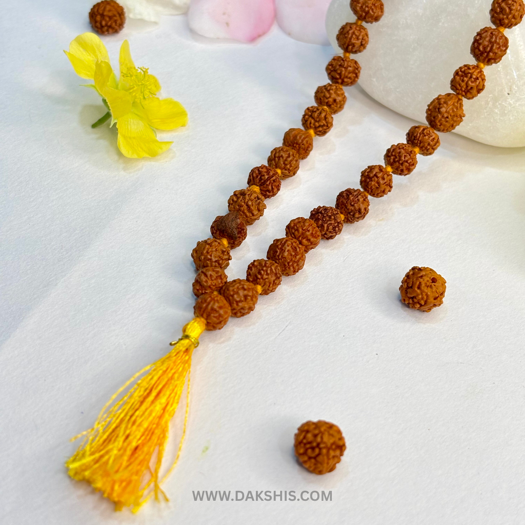 Divine 108 Beads Rudraksha Mala