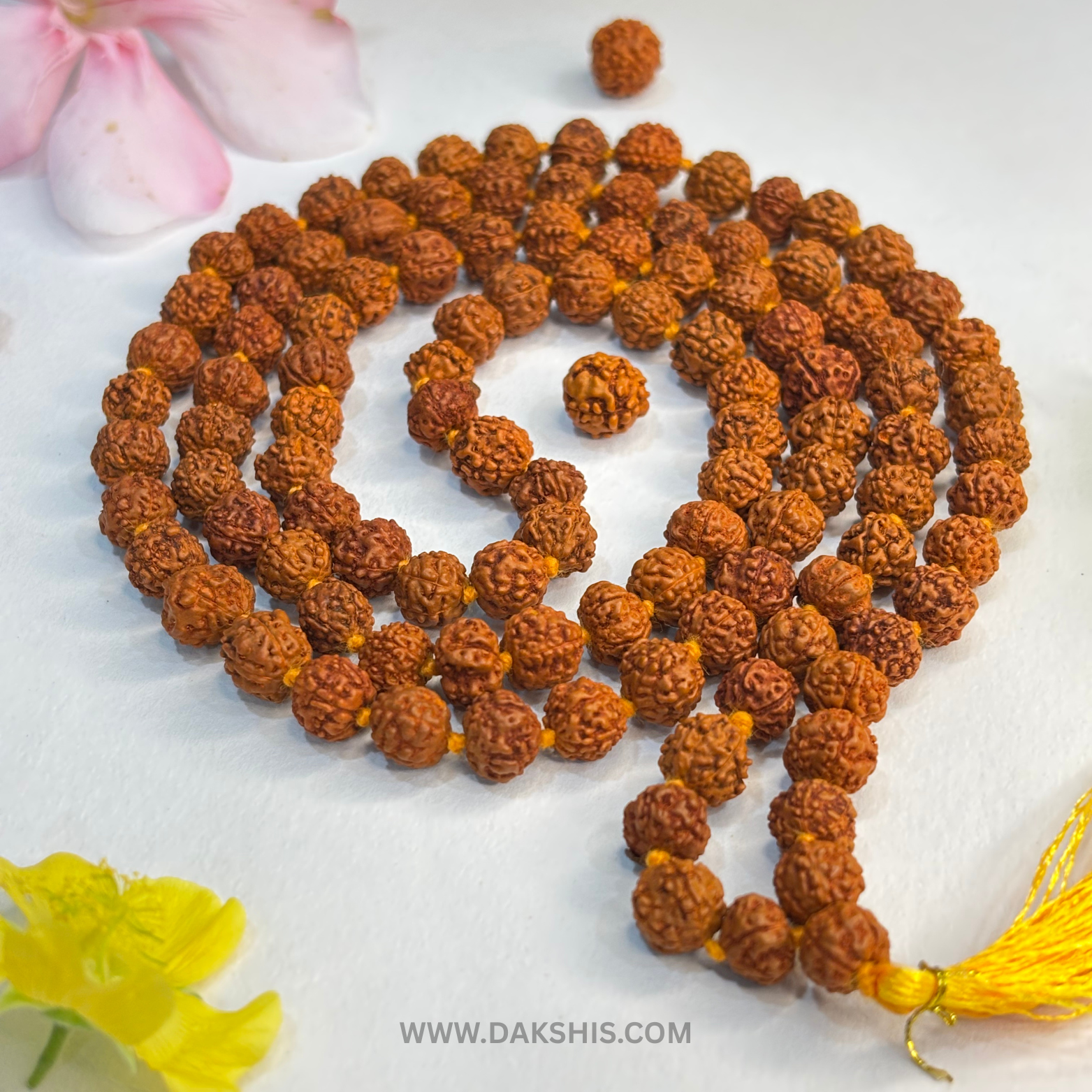 Divine 108 Beads Rudraksha Mala