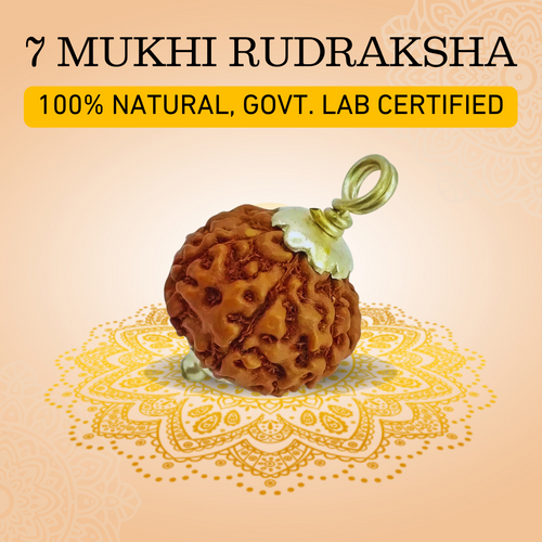 7 Mukhi Original Rudraksha - 100% Original